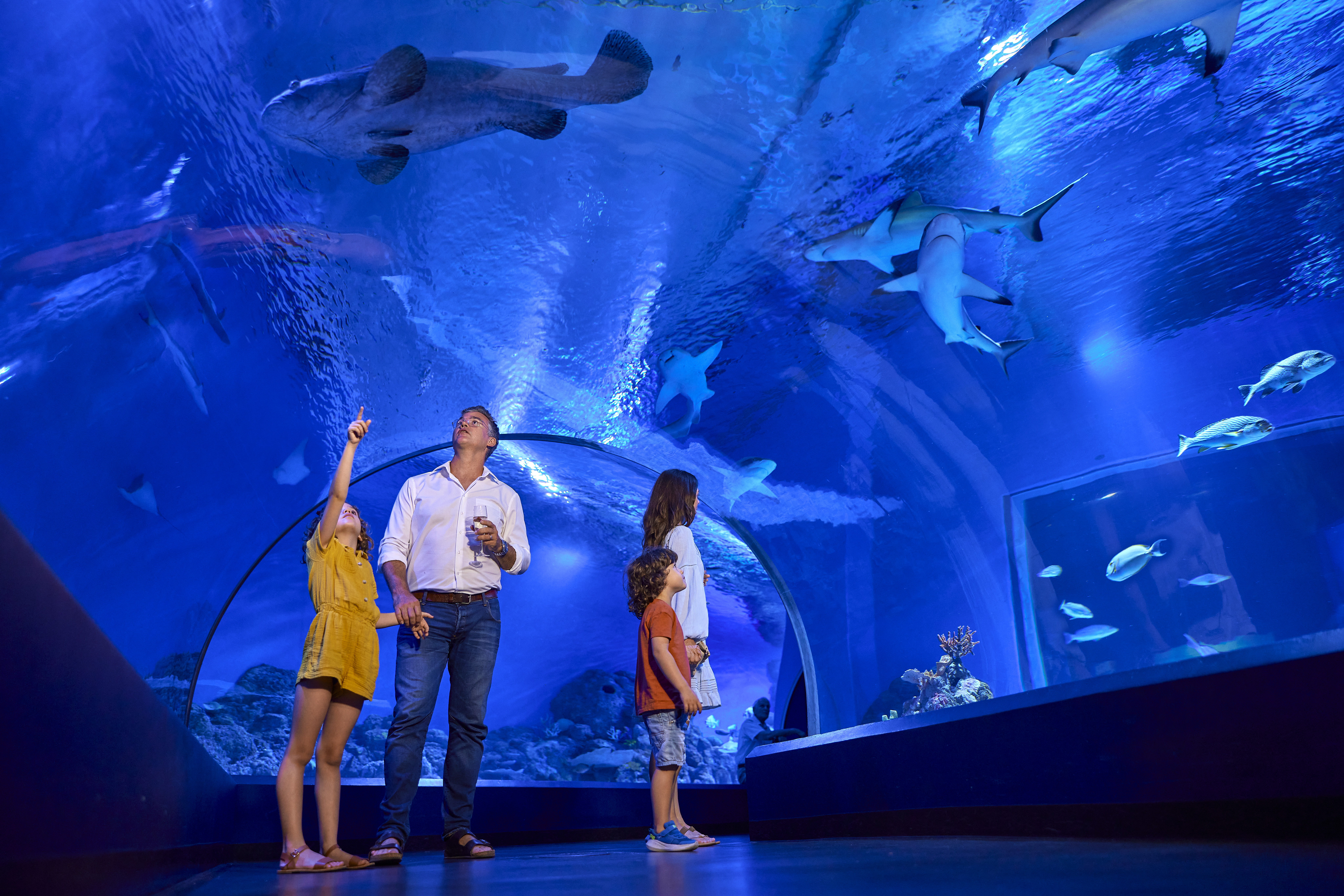 Things to Do in Cairns July 2026 | Hides Hotel