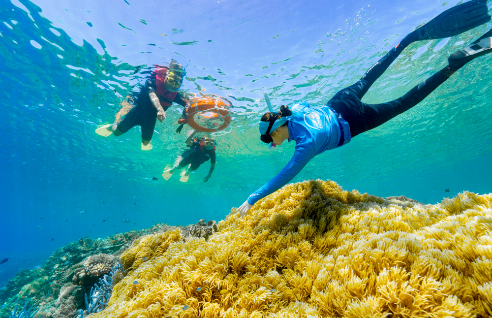 family snorkelling the Great Barrier Reef near Cairns