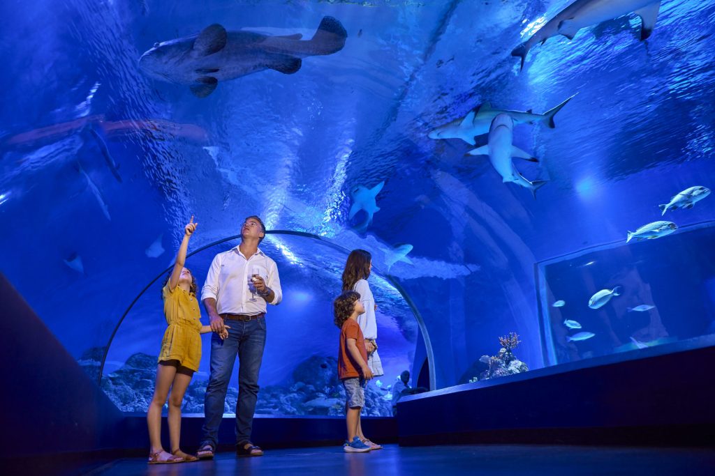 Family looking up at sharks and fish in the tunnel at Cairns Aquarium
